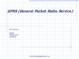 GPRS (G eneral P acket R adio S ervice )