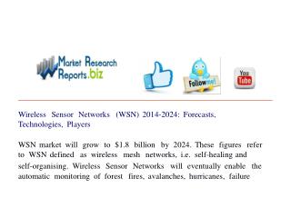 Wireless Sensor Networks (WSN) 2014-2024: Forecasts, Technol