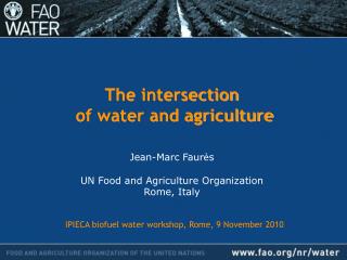 The intersection of water and agriculture