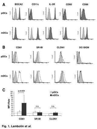 Fig. 1, Lambotin et al.