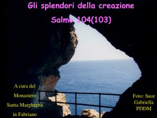 Gli splendori della creazione Salmo 104(103)