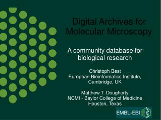 Digital Archives for Molecular Microscopy