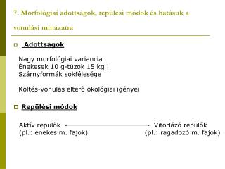 7. Morfológiai adottságok, repülési módok és hatásuk a vonulási minázatra