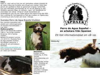 Perro de Agua Español – en arbetare från Spanien Ett litet informationsblad om vår ras