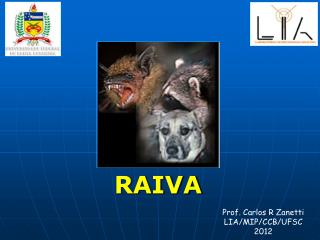 RAIVA