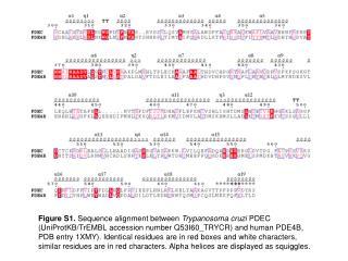 Figure S1. Sequence alignment between Trypanosoma cruzi PDEC