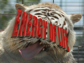 WELCOME TO:
