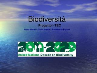 Biodiversità Progetto I-TEC Elena Mattei - Giulia Amato - Alessandro Bigiani