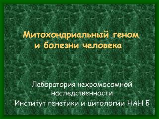 Митохондриальный геном и болезни человека