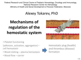 Mechanisms of regulation of the hemostatic system