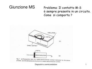 Giunzione MS