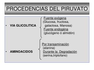 PROCEDENCIAS DEL PIRUVATO