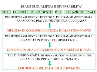 ESAMI DI QUALIFICA E DIVERSABILITA’