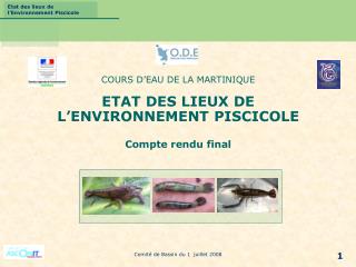 COURS D’EAU DE LA MARTINIQUE ETAT DES LIEUX DE L’ENVIRONNEMENT PISCICOLE Compte rendu final