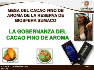 MESA DEL CACAO FINO DE AROMA DE LA RESERVA DE BIOSFERA SUMACO