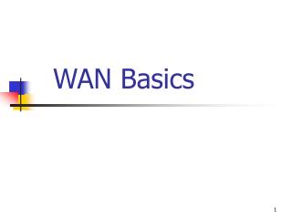 WAN Basics