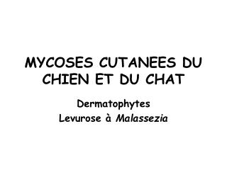 MYCOSES CUTANEES DU CHIEN ET DU CHAT