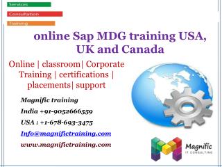 online Sap MDG training USA, UK and Canada