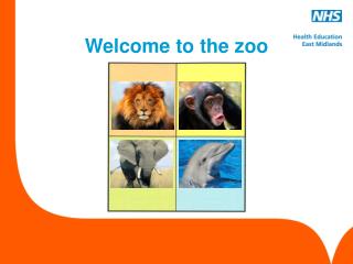 Welcome to the zoo