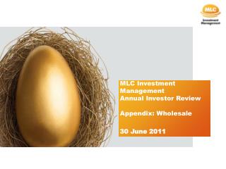 MLC Investment Management Annual Investor Review Appendix: Wholesale 30 June 2011