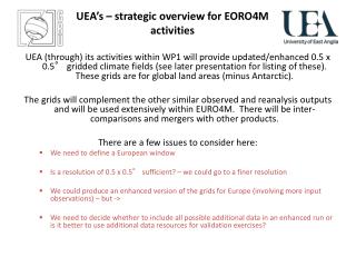 UEA’s – strategic overview for EORO4M activities