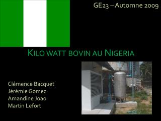 Kilo watt bovin au Nigeria