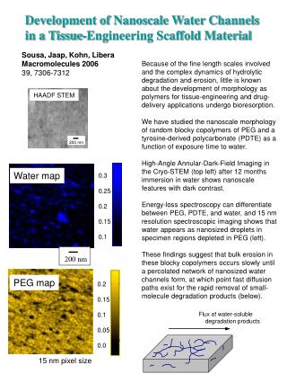 Development of Nanoscale Water Channels in a Tissue-Engineering Scaffold Material