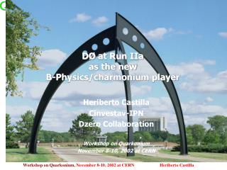 D Ø at Run IIa as the new B-Physics/charmonium player