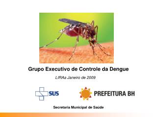 Grupo Executivo de Controle da Dengue
