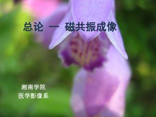 总论 -- 磁共振成像