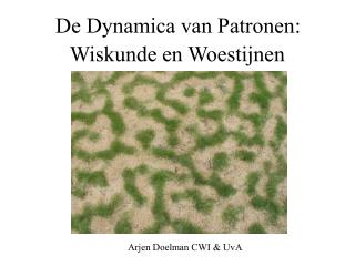 Wiskunde en Woestijnen