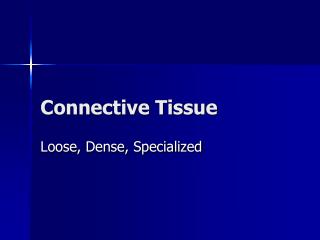 Connective Tissue