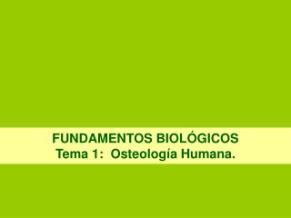 FUNDAMENTOS BIOLÓGICOS Tema 1: Osteología Humana.