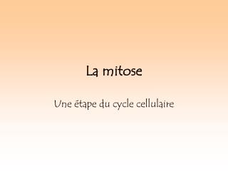 La mitose