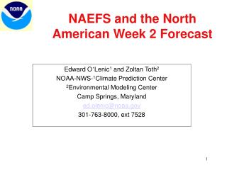 NAEFS and the North American Week 2 Forecast