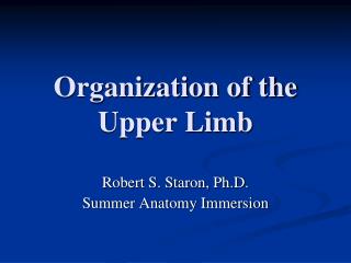 Organization of the Upper Limb