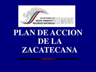 PLAN DE ACCION DE LA ZACATECANA