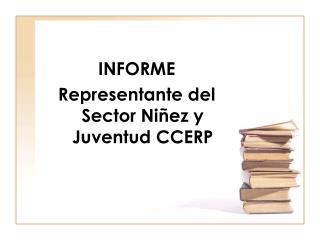 INFORME Representante del Sector Niñez y Juventud CCERP