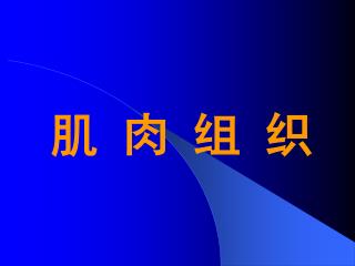 肌 肉 组 织