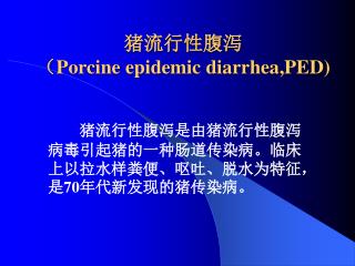 猪流行性腹泻 （ Porcine epidemic diarrhea,PED)