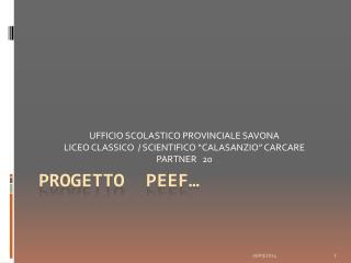 PROGETTO PEEF…