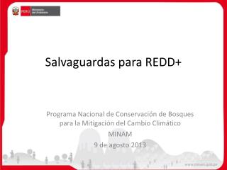Salvaguardas para REDD+