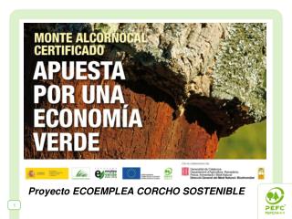 ECOEMPLEA CORCHO SOSTENIBLE