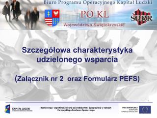 Szczegółowa charakterystyka udzielonego wsparcia ( Załącznik nr 2 oraz Formularz PEFS)