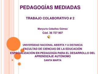 PEDAGOGÍAS MEDIADAS TRABAJO COLABORATIVO # 2