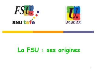 La FSU : ses origines