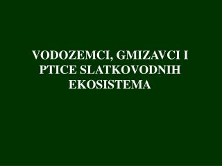 VODOZEMCI, GMIZAVCI I PTICE SLATKOVODNIH EKOSISTEMA