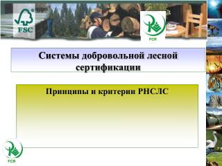 Системы добровольной лесной сертификации