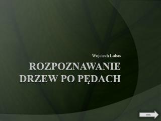 Rozpoznawanie drzew po Pędach