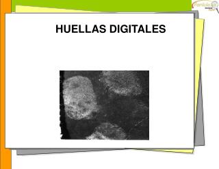 HUELLAS DIGITALES